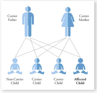 genetic-counseling – The UCLA Institute for Society and Genetics