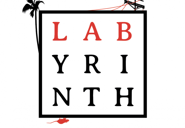 Labyrinth Project
